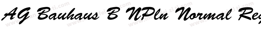 AG Bauhaus B NPln Normal Regular字体转换